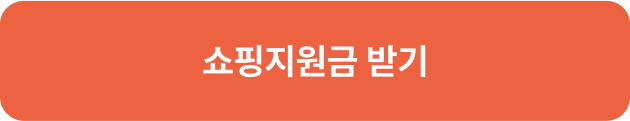 쇼핑지원금받기