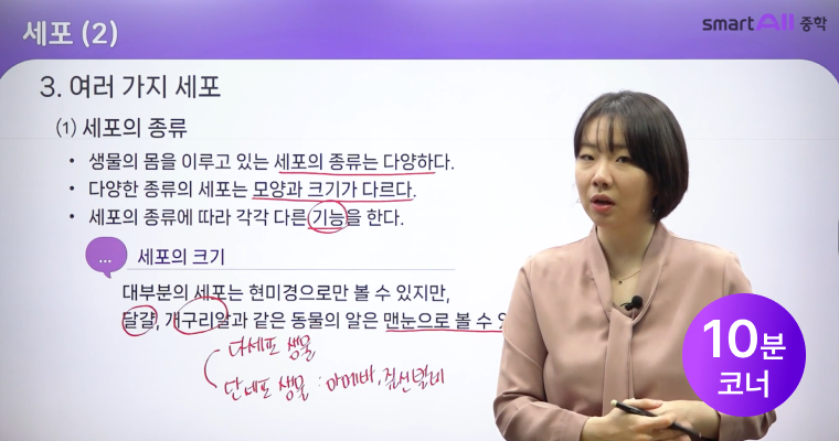 부담 없는 강의 시간