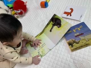 리뷰이미지1