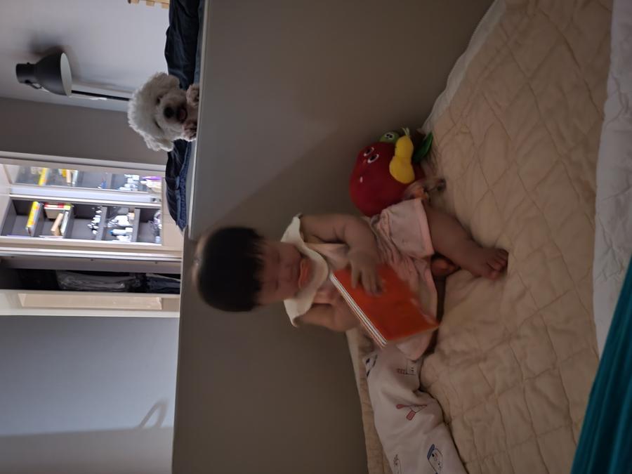 리뷰이미지1