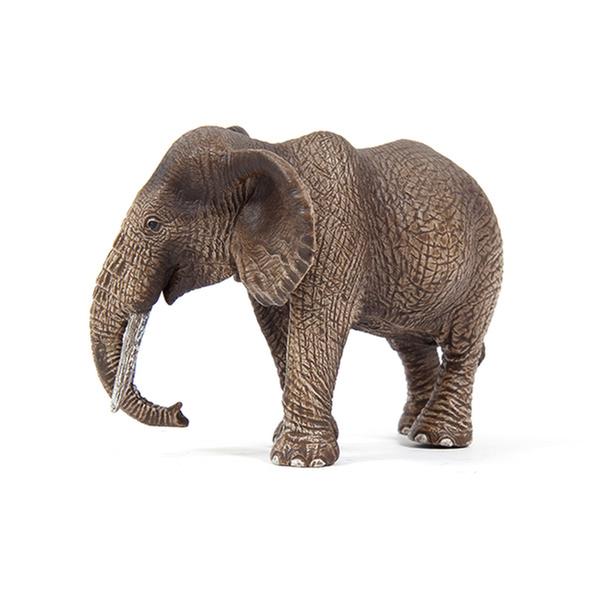[교구] 슐라이히 - 암컷 아프리카 코끼리