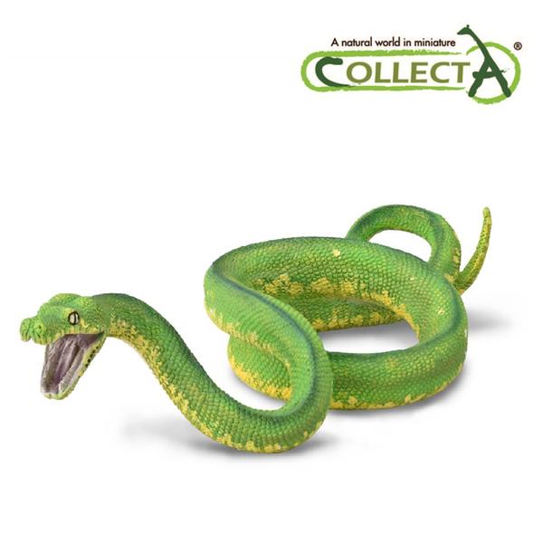 [교구] 컬렉타 - 초록나무 비단뱀