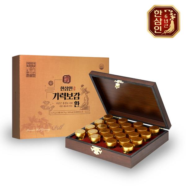 [한삼인] 기력보감 환 (3.75g*25환)