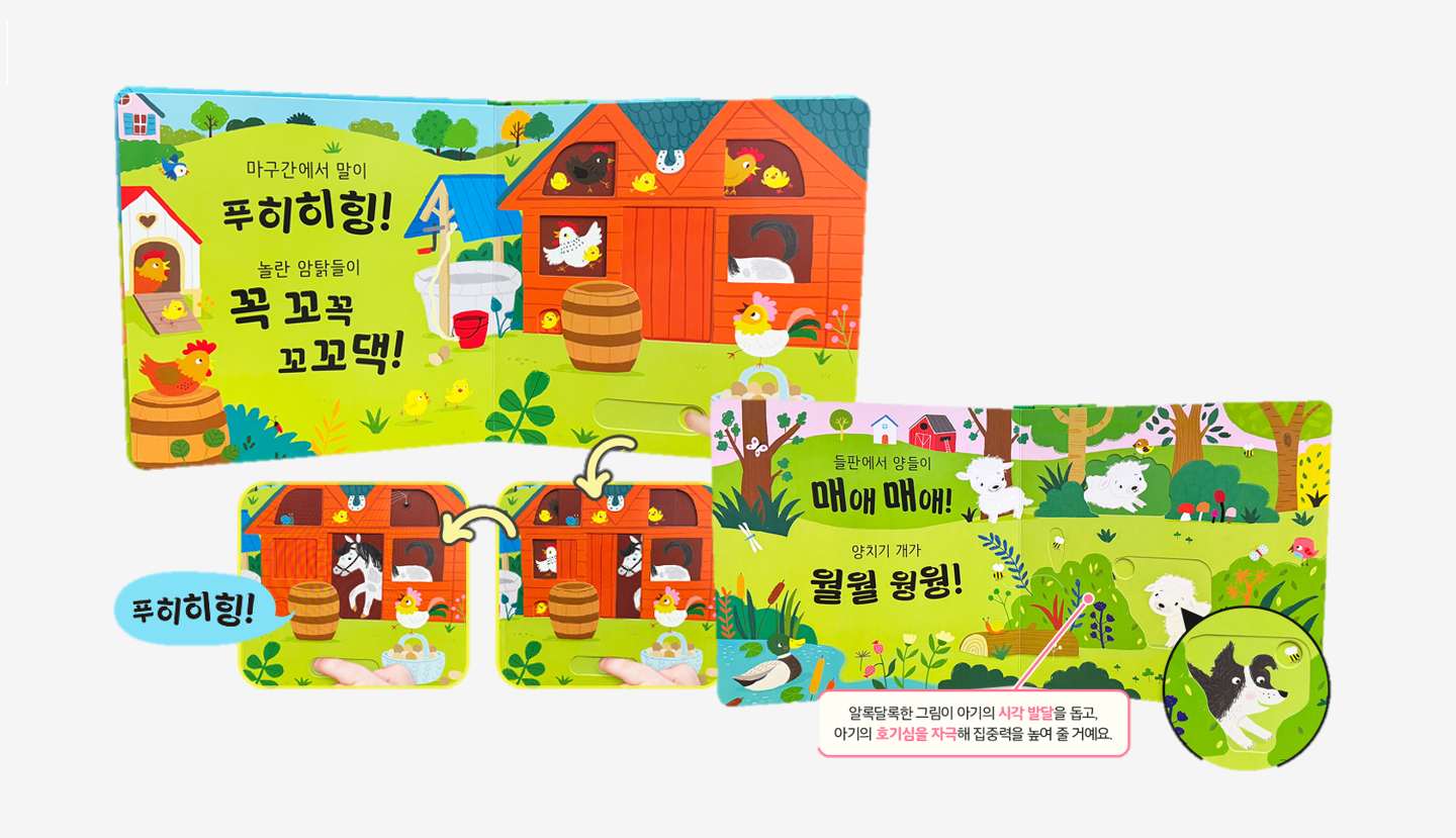메인이미지