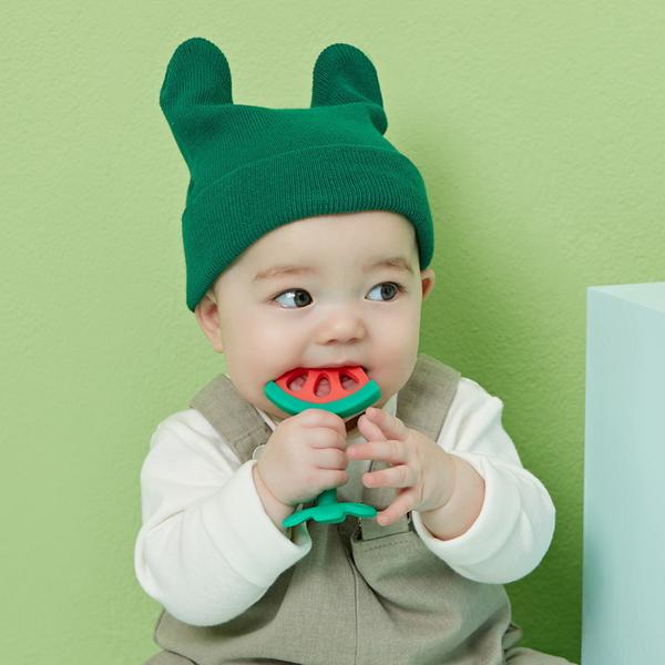 [티지엠] 실리콘 과일 치발기(열탕 소독 가능/케이스 포함)_수박