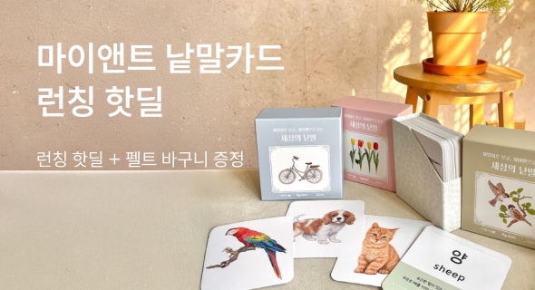 마이앤트 낱말카드 특가