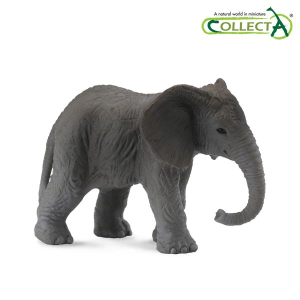 [교구] 컬렉타 - 아기 코끼리