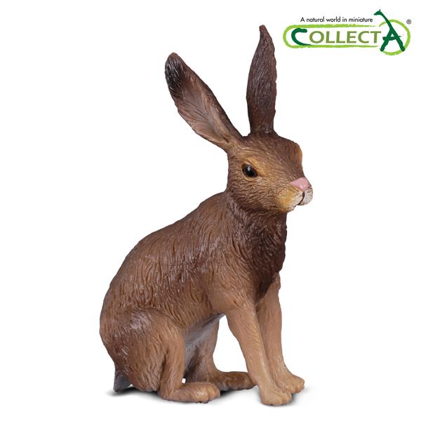 [교구] 컬렉타 - 산토끼