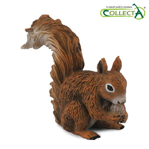 [교구] 컬렉타 - 다람쥐