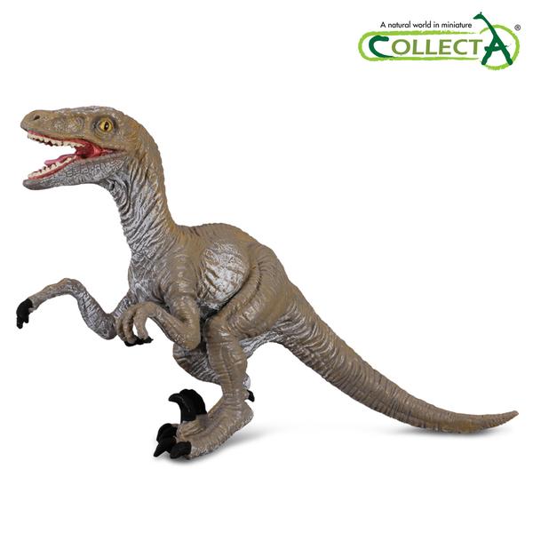 [교구] 컬렉타 - 벨로키랍토르