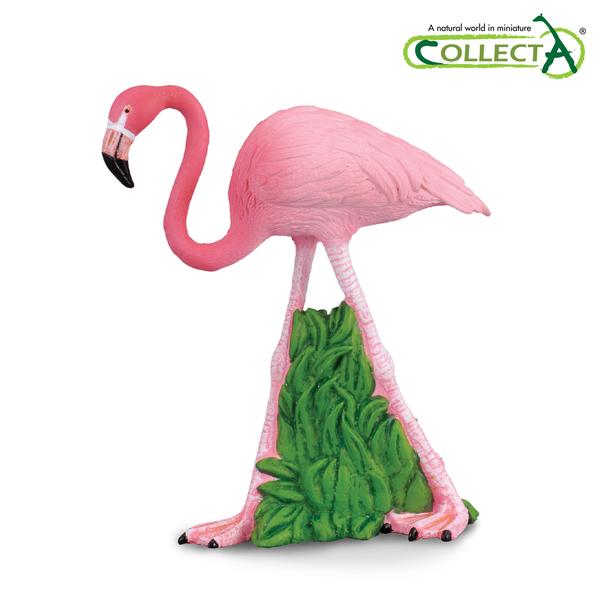 [교구] 컬렉타 - 홍학