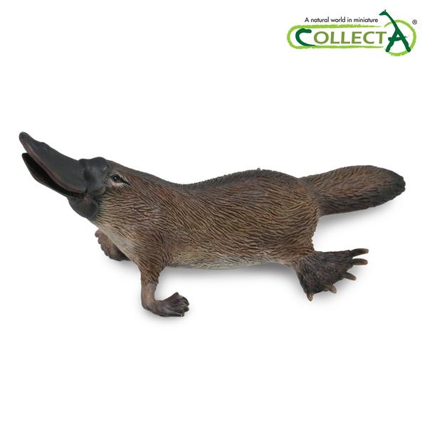 [교구] 컬렉타 - 오리너구리