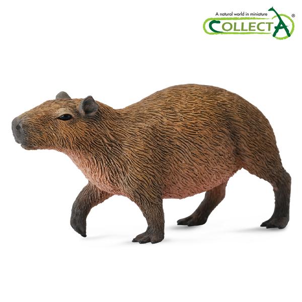 [교구] 컬렉타 - 카피바라