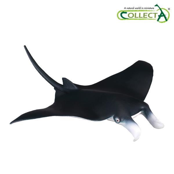 [교구] 컬렉타 - 쥐가오리