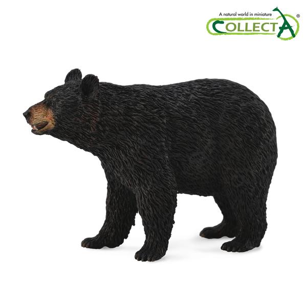 [교구] 컬렉타 - 흑곰
