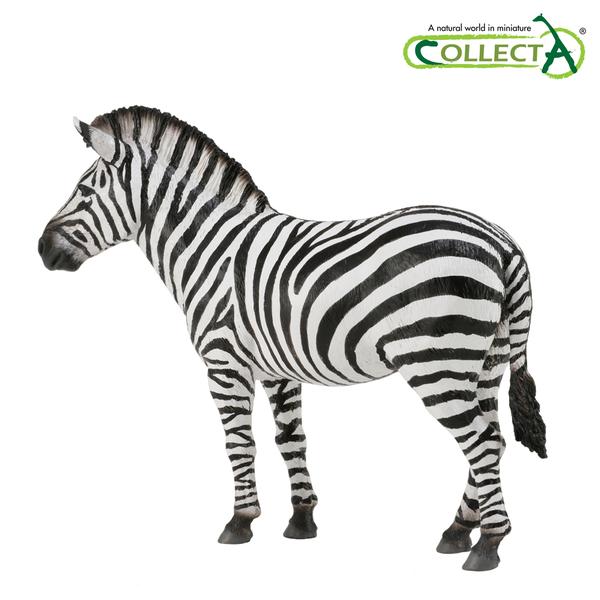 [교구] 컬렉타 - 얼룩말