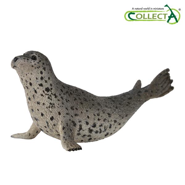 [교구] 컬렉타 - 점박이물범