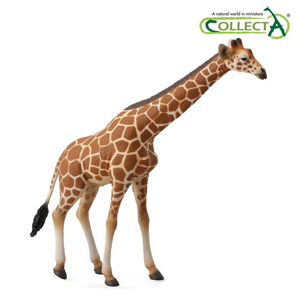 [교구] 컬렉타 - 그물무늬 기린