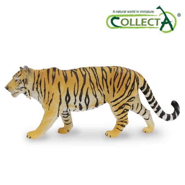 [교구] 컬렉타 - 시베리아 호랑이