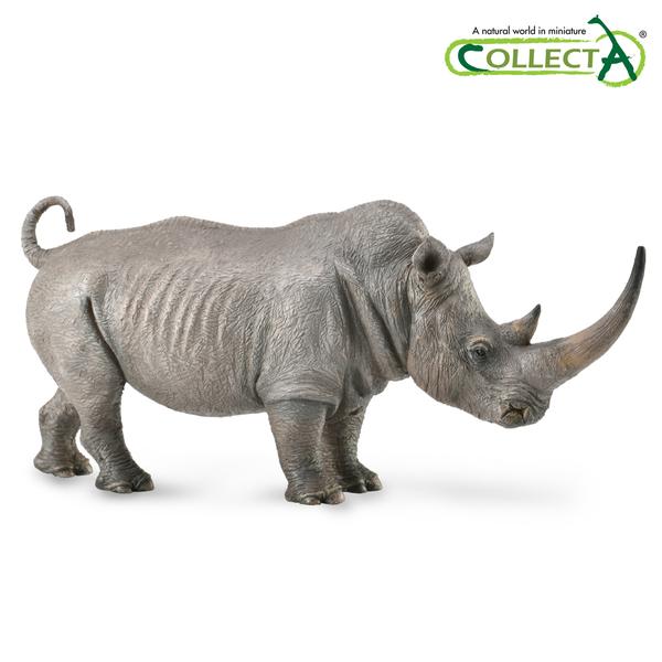 [교구] 컬렉타 - 코뿔소