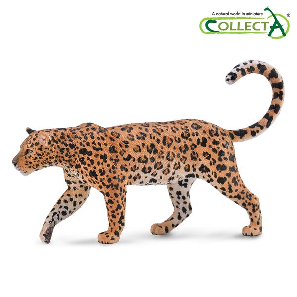 [교구] 컬렉타 - 아프리카표범