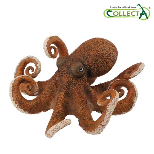 [교구] 컬렉타 - 문어