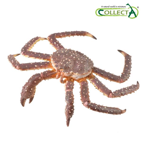 [교구] 컬렉타 - 킹크랩