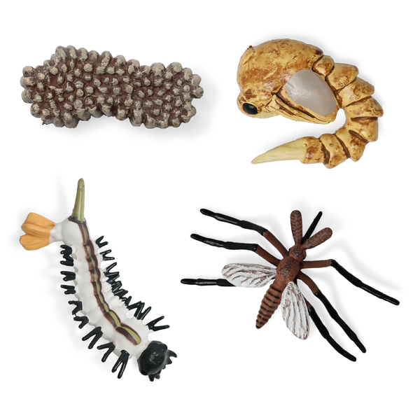 뮤고랑 아주 특별한 황금 씨앗 성장과정 한살이 피규어